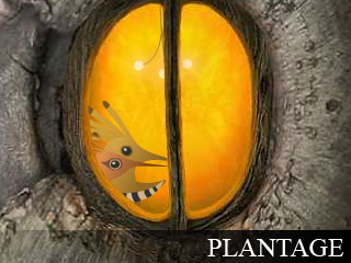 plantage