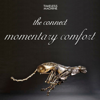 the-connect-momentary-comfort